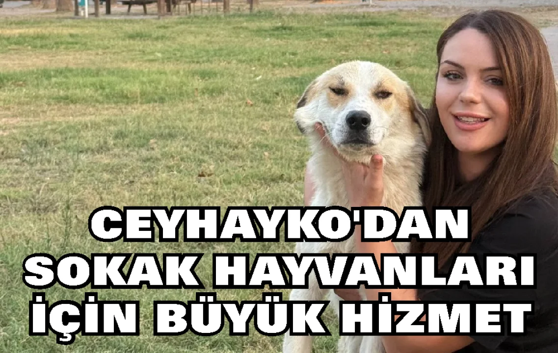 İrem Opak: ‘Sahipsiz Canların Sesi Olmaya Devam Edeceğiz’