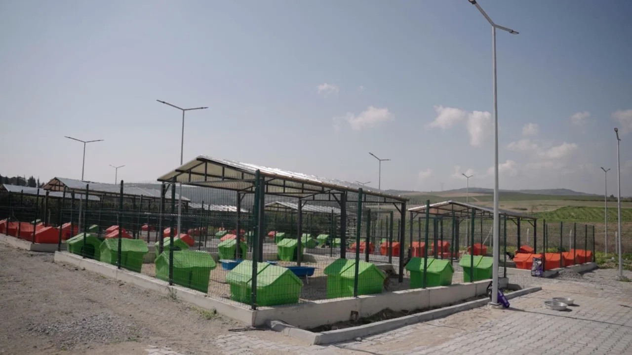 Veteriner Kontrolünde Tam Güvenlik: Ceyhan Belediyesi’nden Örnek Barınak Projesi