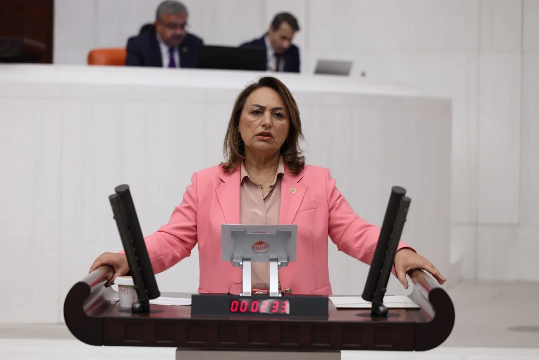CHP’li Müzeyyen Şevkin: 